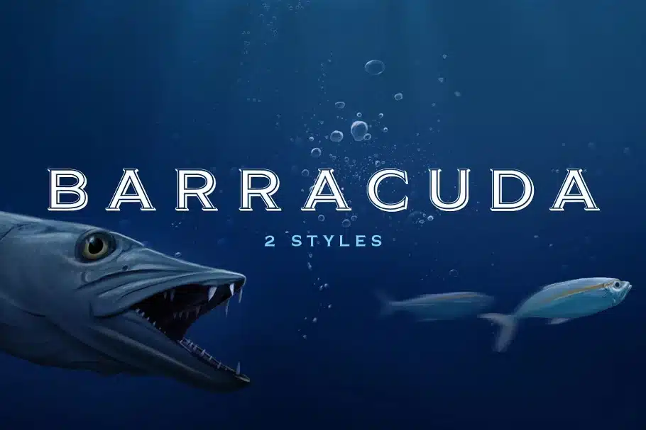 Barracuda Display - Logo Font