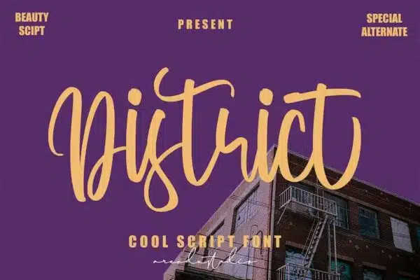 District - Cool Script Font