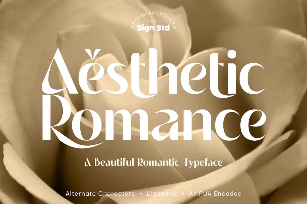 25+ Best Aesthetic Fonts to Bring Charm to Your Designs