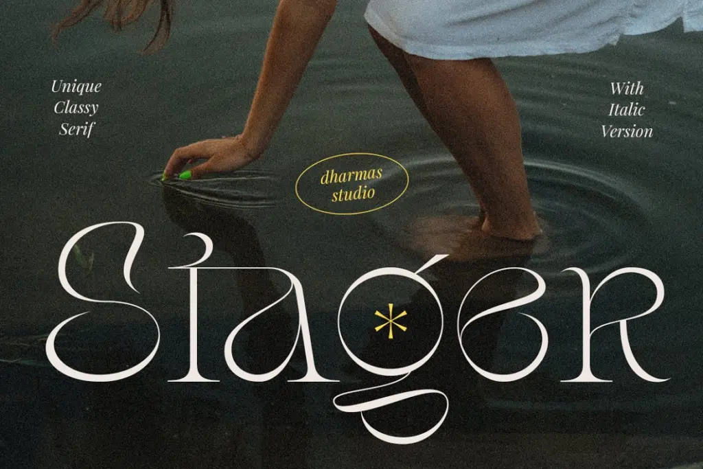 Stager - Unique Classy Serif