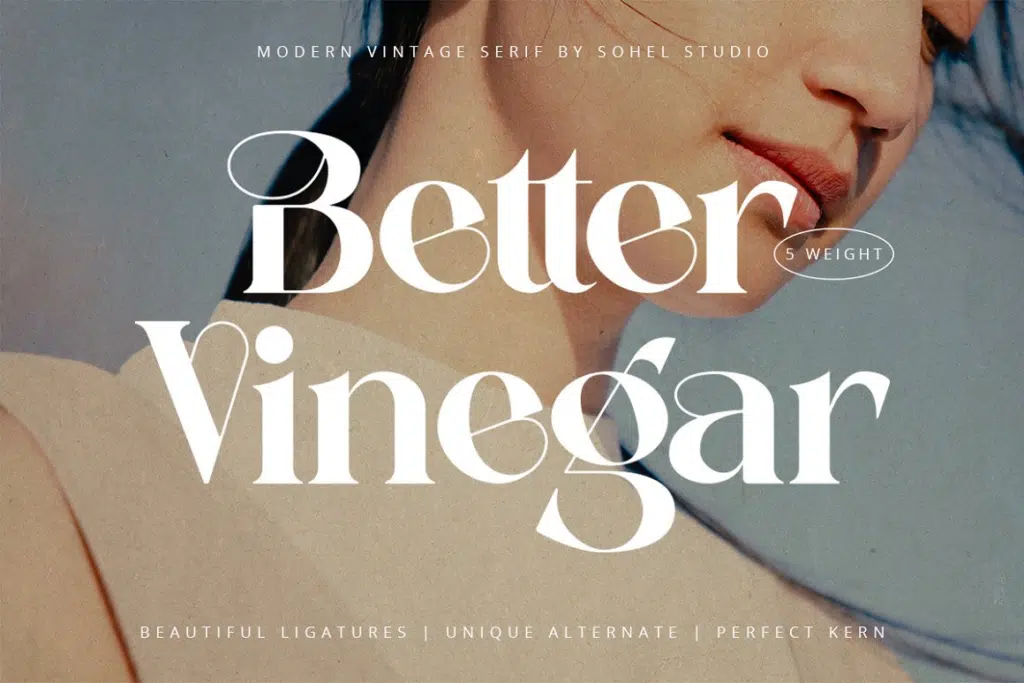 Better Vinegar - Modern Vintage Font