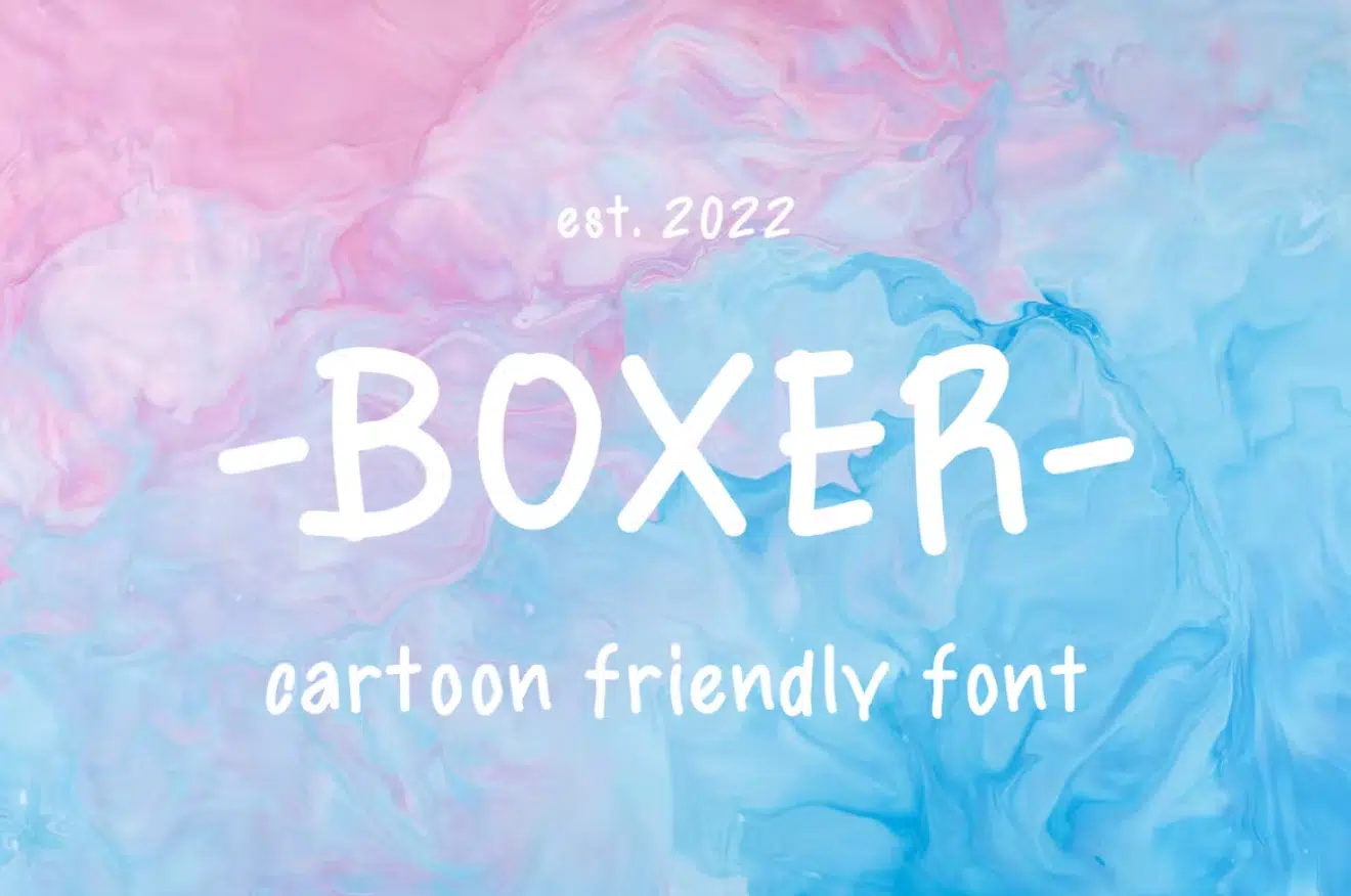 Boxer Friendly Font