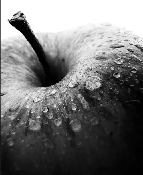 Apple Black and White by The Definition