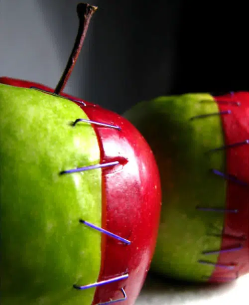 Apple Genes Spliced by bonkrissybon