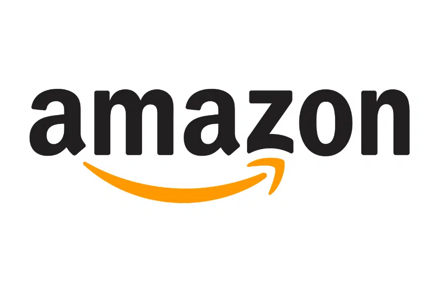 Amazon Logo (Best Tech Logo)