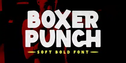 Boxer Punch