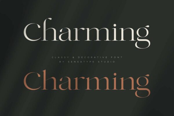 A classy and decorative font
