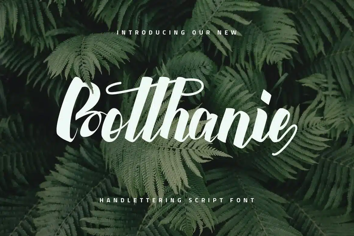 A handlettering script font for your project