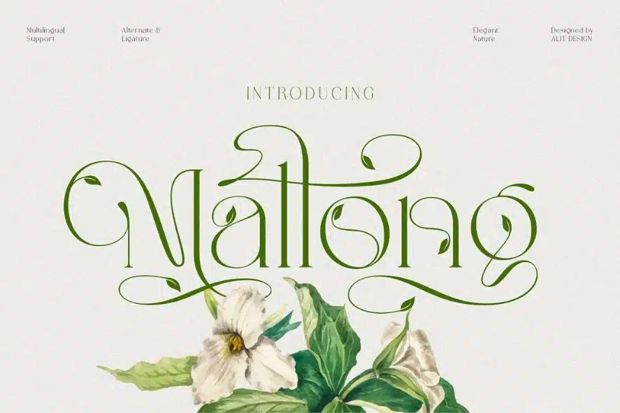 Mallong Organic Font