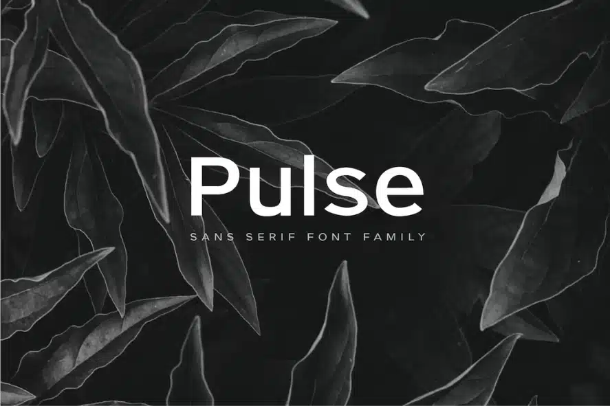Pulse - Fonts Similar to Montserrat