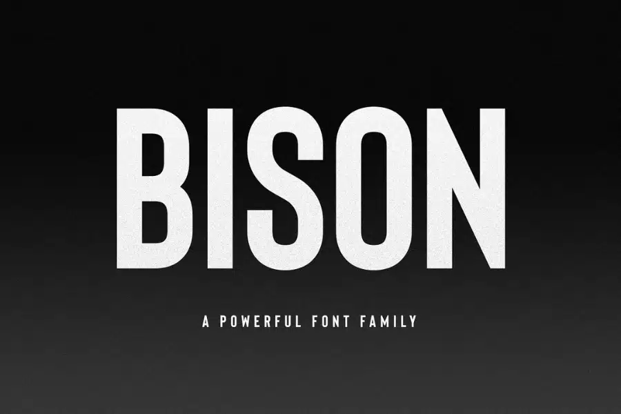 Bison Quote Font