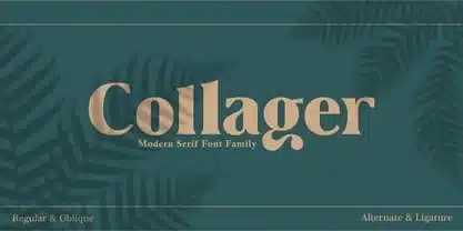 A modern serif Collage font