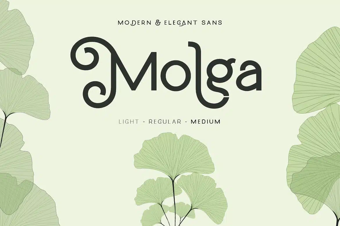 Modern and elegant sans leaf font