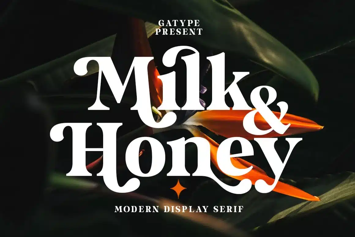A modern display Honey Font