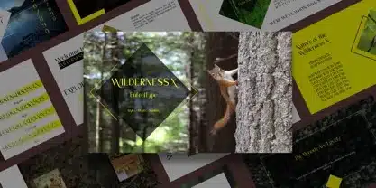 A wilderness Jungle Font
