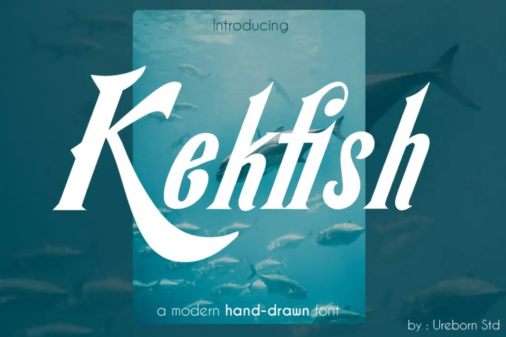 Kekfish - Modern Handdrawn Display