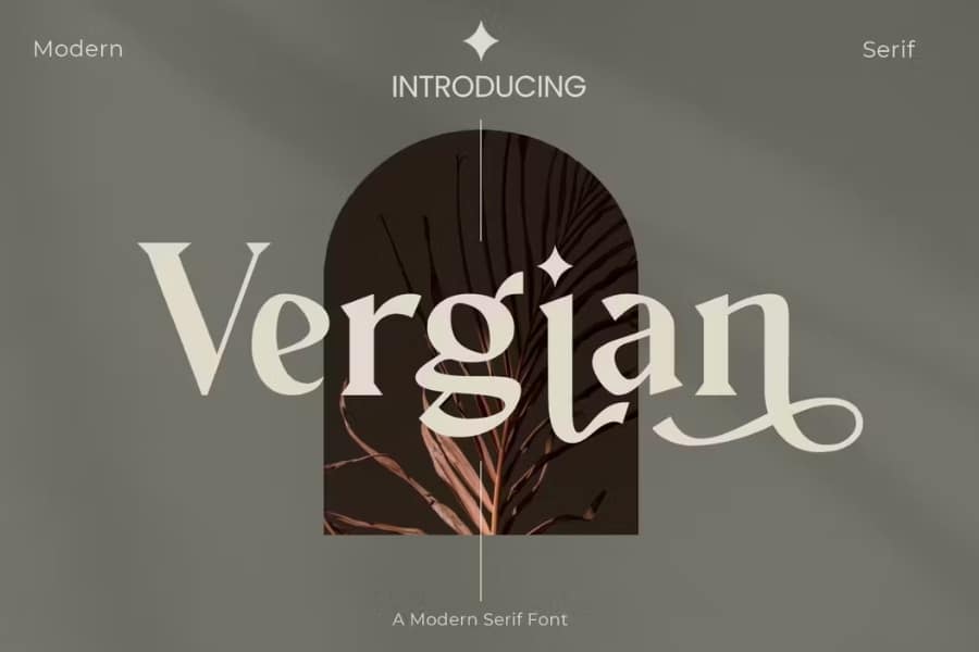 Modern Serif Font Similar To Caslon