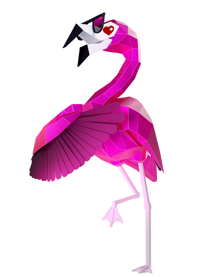 Pinky the Flamingo Feeling The Love